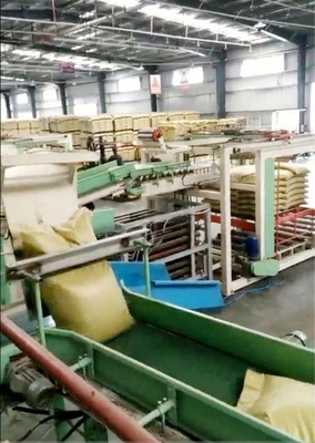 Paletizador de alimentação adaptável e automático para instalações de embalagem 4100mm*1600mm*1450mm