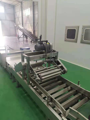 2022 Voltage 50-60Hz Máquina de moldagem automática de embalagens